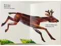 Brown Bear Collection by Bill Martin/Eric Carle