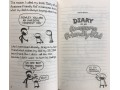 Diary of an Awesome Friendly Kid