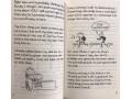 Diary of an Awesome Friendly Kid