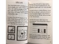 Diary of an Awesome Friendly Kid