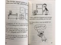 Diary of an Awesome Friendly Kid