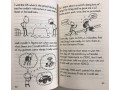 Diary of an Awesome Friendly Kid
