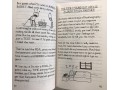 Diary of an Awesome Friendly Kid