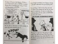 Diary of a Wimpy Kid. Big Shot