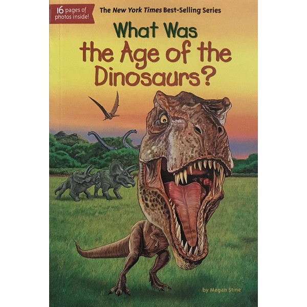 What Was the Age of the Dinosaurs?