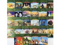 Magic Tree House 1-36. УЦЕНКА