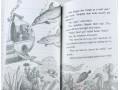 Magic Tree House 1-36. УЦЕНКА