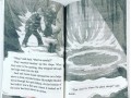 Magic Tree House Merlin Missions