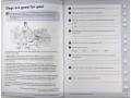 KS2 Comprehension Book 2 Schofield&Sims 