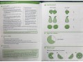 KS1 Fractions 1. Teacher's Guide