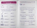 Phonics Practice Pupil Book 8