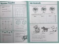 KS2 Problem Solving Book 3 (Year 5 & 6)