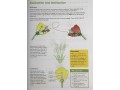 Science Revision Guide KS2