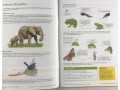 Science Revision Guide KS2