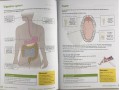 Science Revision Guide KS2