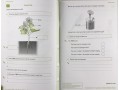 Science Practice Papers KS2