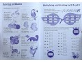 Times Tables Practice 2