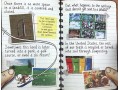 Fly Guy Presents. 14 Books Collection