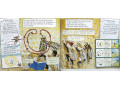 The Magic School Bus. 12 Picture Books Collection