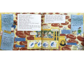 The Magic School Bus. 12 Picture Books Collection