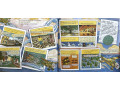 The Magic School Bus. 12 Picture Books Collection