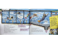 The Magic School Bus. 12 Picture Books Collection