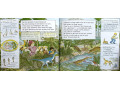 The Magic School Bus. 12 Picture Books Collection