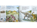 The Magic School Bus. 12 Picture Books Collection