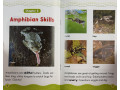 Science Vocabulary Readers. Animals