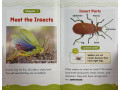Science Vocabulary Readers. Animals