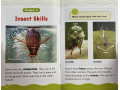 Science Vocabulary Readers. Animals