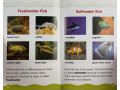 Science Vocabulary Readers. Animals