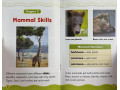 Science Vocabulary Readers. Animals