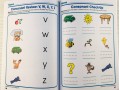 Spectrum Phonics Kindergarten