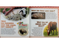 Time for Kids. Why? Animals