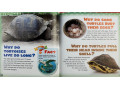 Time for Kids. Why? Animals