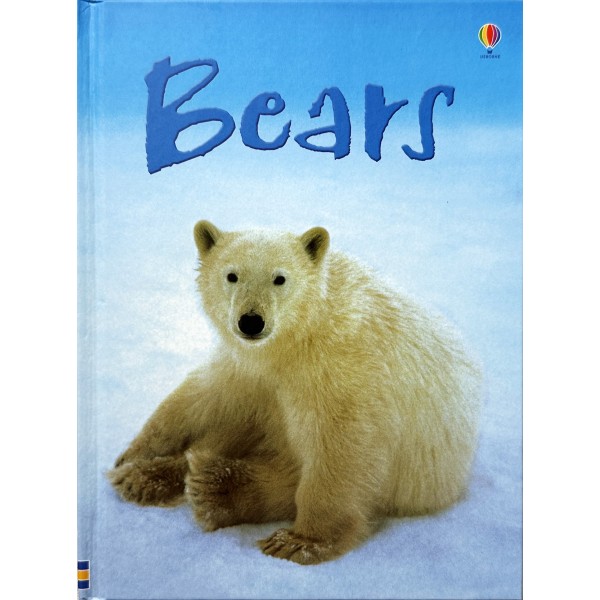 Usborne Beginners Bears