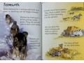 Usborne Beginners Dangerous Animals