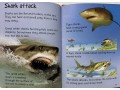 Usborne Beginners Dangerous Animals