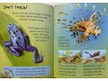 Usborne Beginners Dangerous Animals