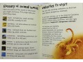 Usborne Beginners Dangerous Animals