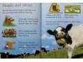 Usborne Beginners Farm Animals