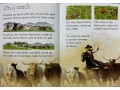 Usborne Beginners Farm Animals