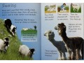 Usborne Beginners Farm Animals