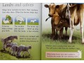 Usborne Beginners Farm Animals