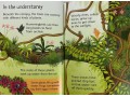 Usborne Beginners Nature 10 Books Collection Box Set