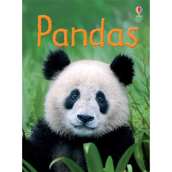 Usborne Beginners Pandas