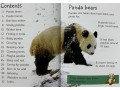 Usborne Beginners Pandas