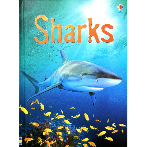 Usborne Beginners Sharks