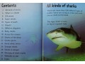 Usborne Beginners Sharks